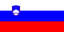 Country Flag